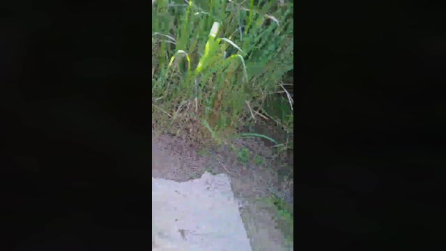 tarcton78  21-08-2022
